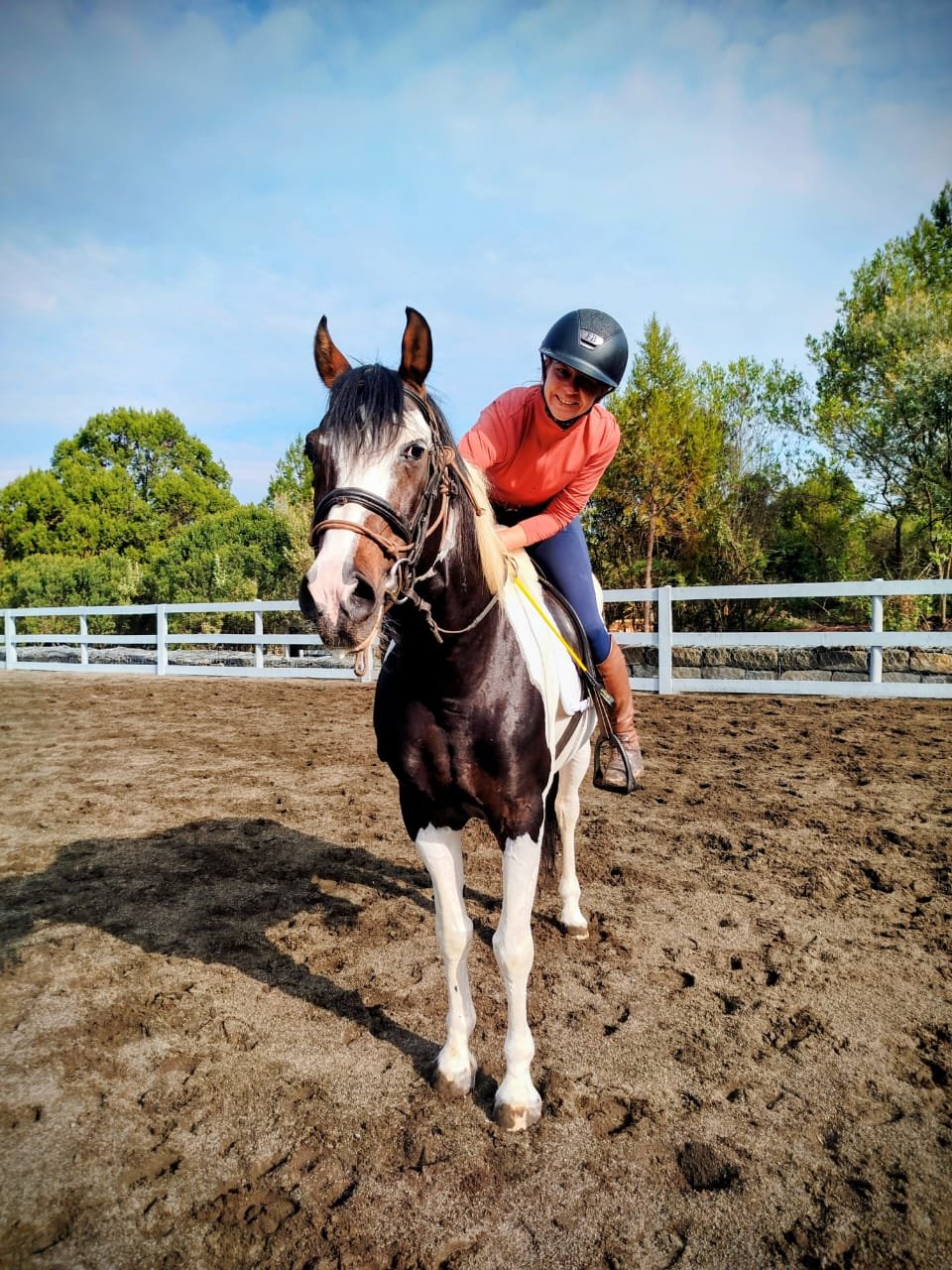 Handling difficult horses