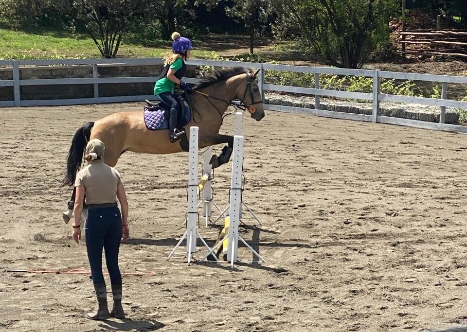 Horse training