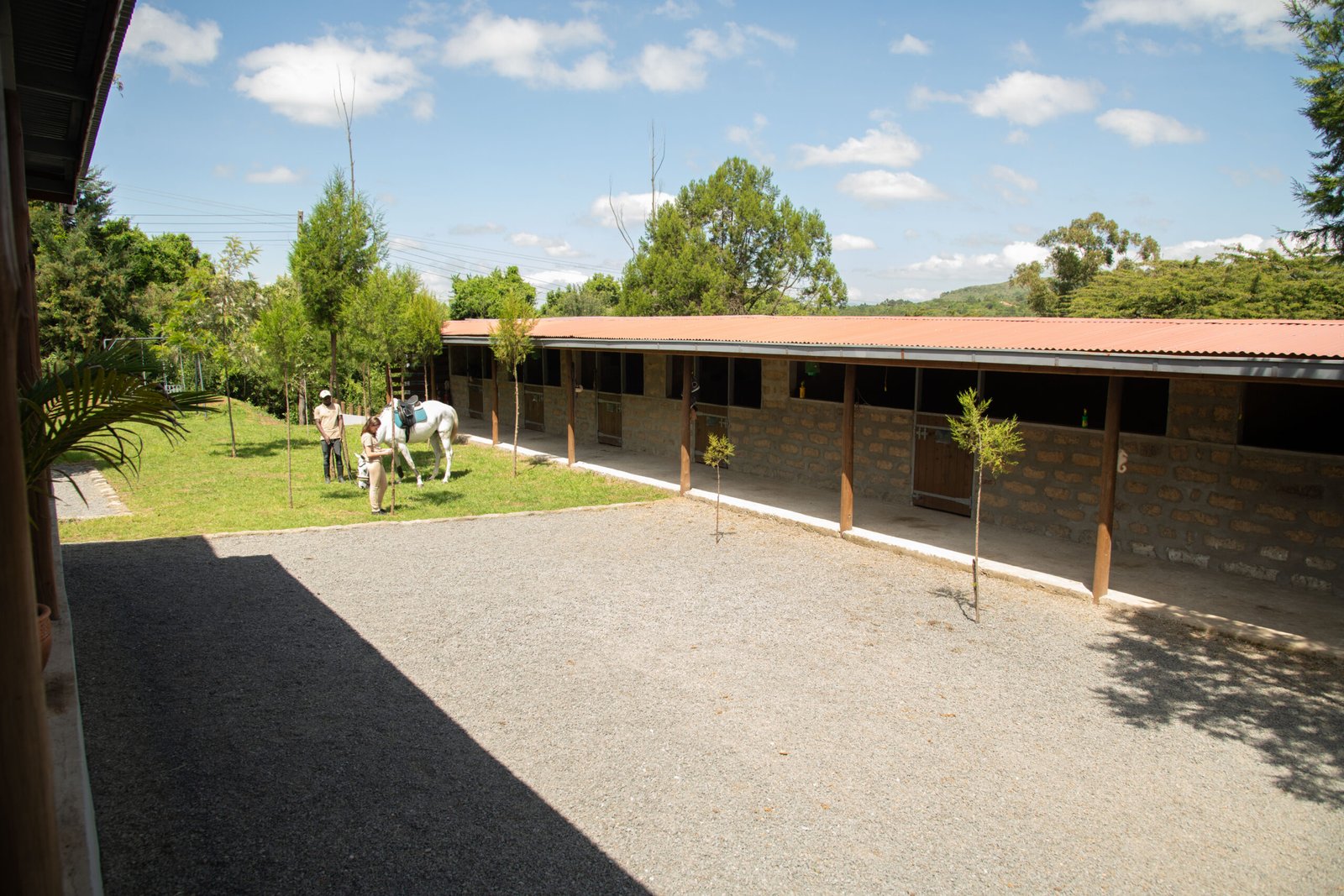 Cedar Horse Farm — paddocks