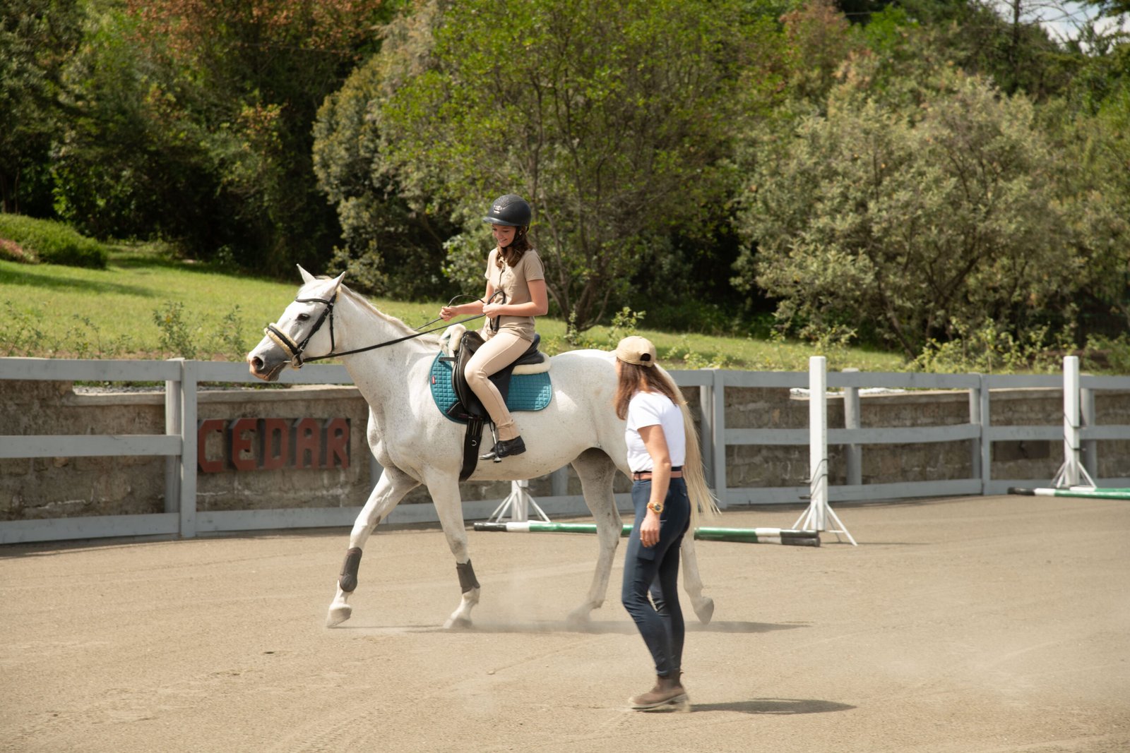 Cedar Horse Farm
