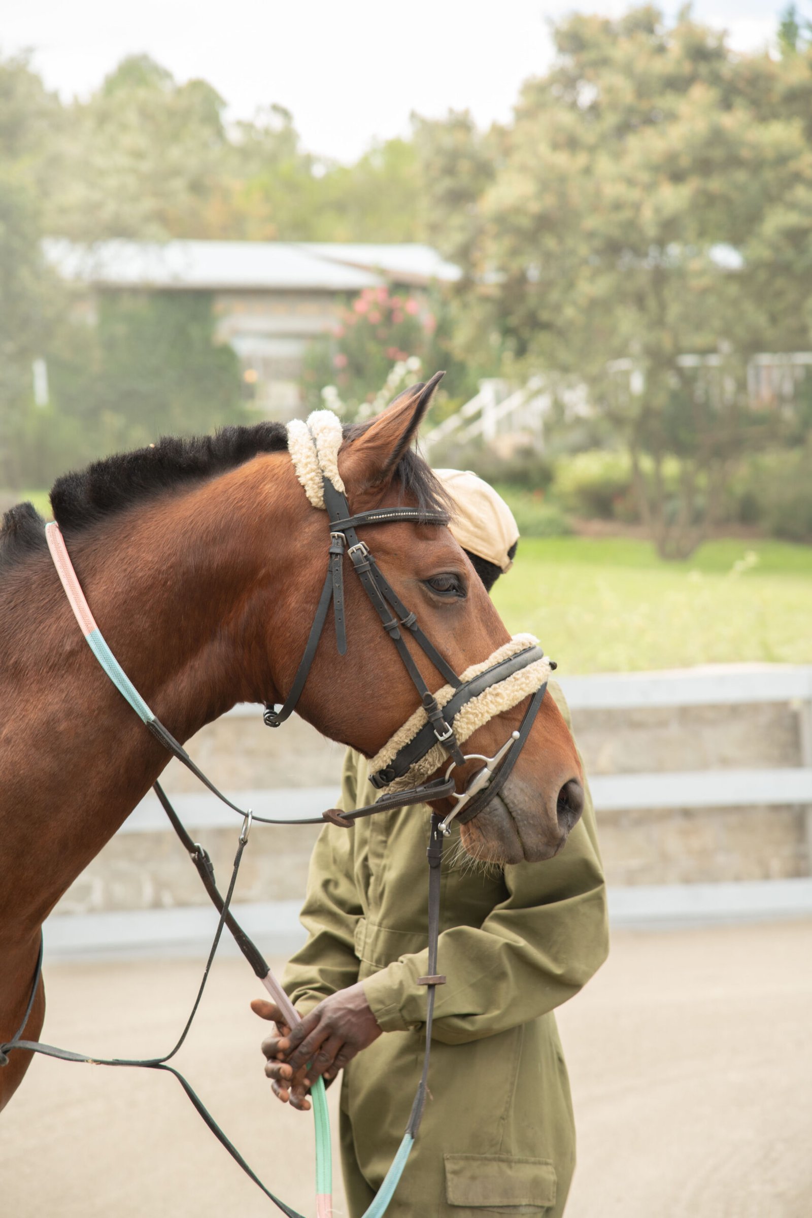 Handling difficult horses