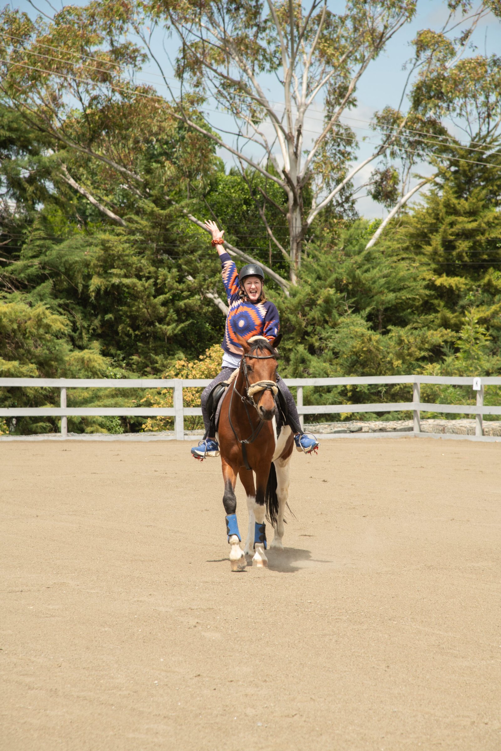 Young horse training