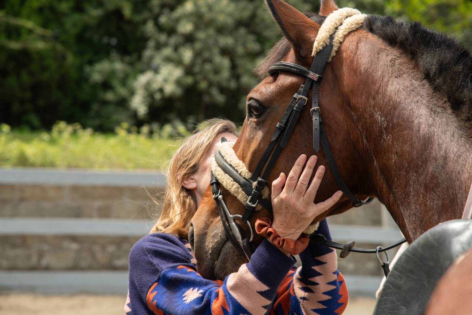 Horse rehoming