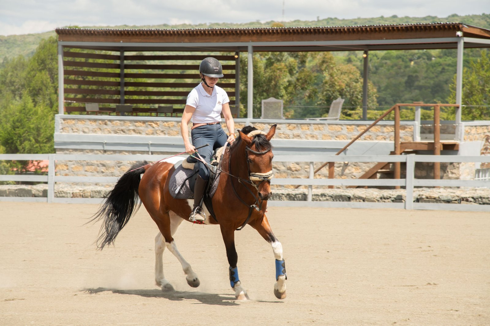 Horse training